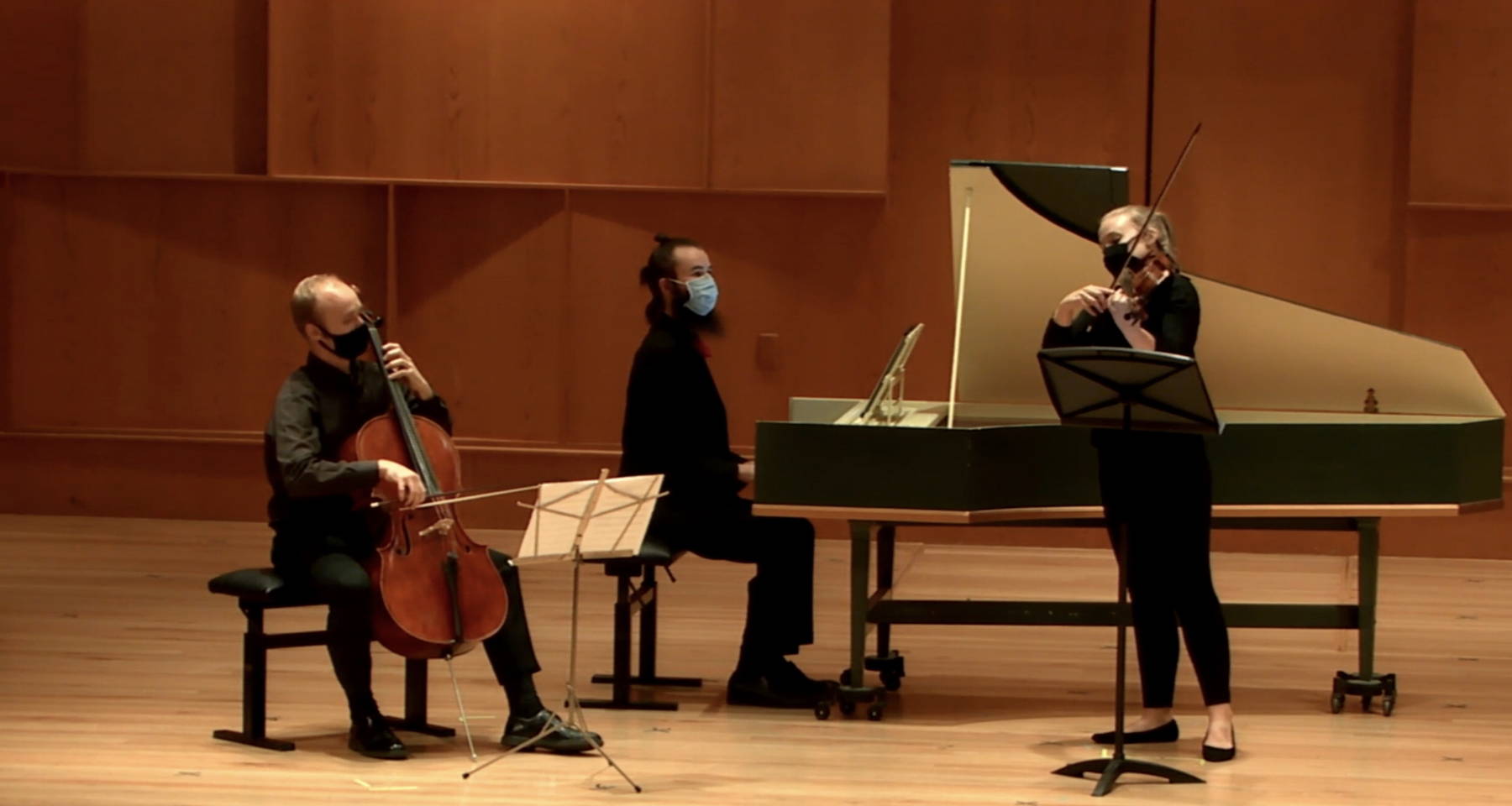 Telemann Harpsichord Viola & Cello Trio, Bach Cello Suite 4 and a Hobgoblin