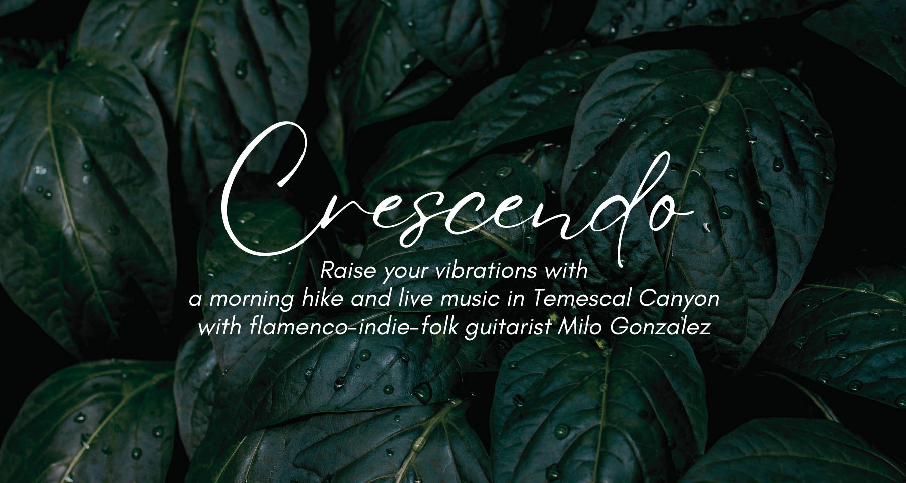 Crescendo: Hiking & Flamenco in Temescal Canyon