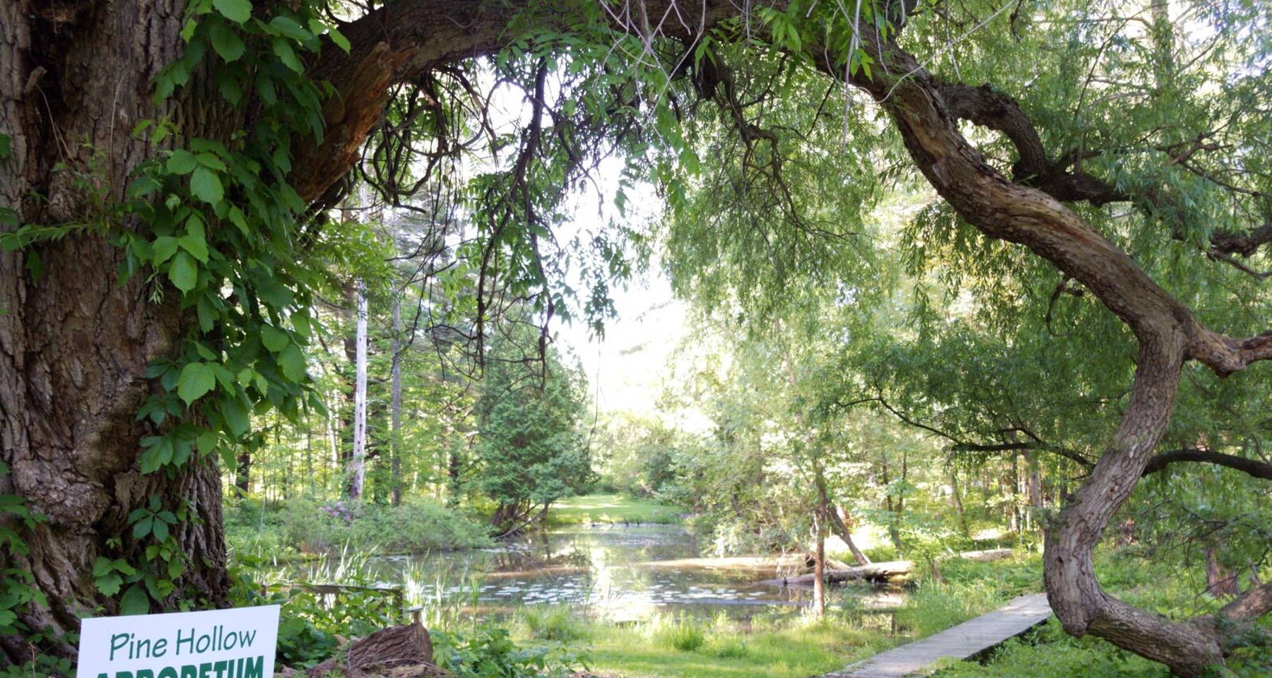 Music in the Trees: Classical Flute, Cello, and Piano Trios at the Pine Hollow Arboretum